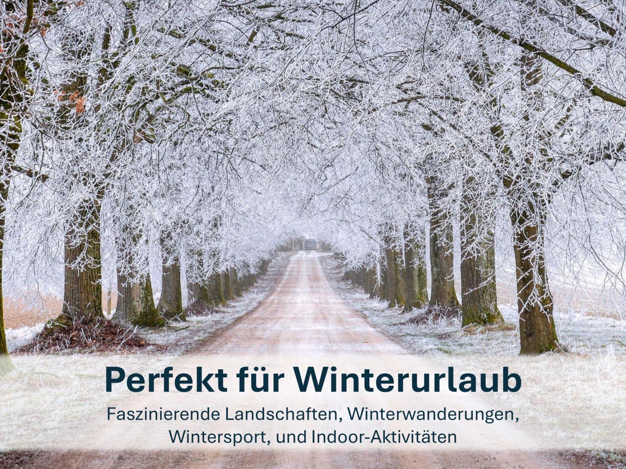 Zinnowitz, Paradies Am Wald - Wg 05 Exterior photo